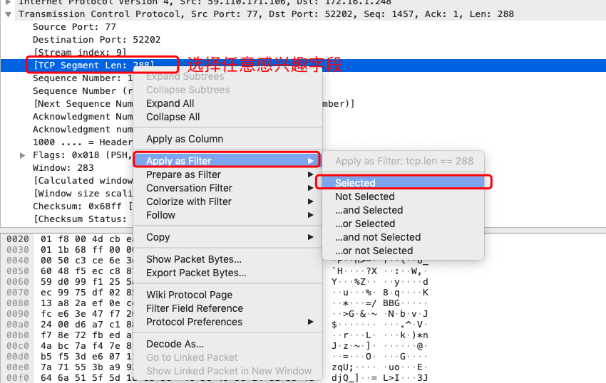 wireshark_dispaly_filter