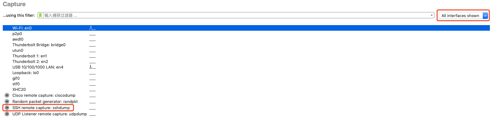 sshdump_display_interface